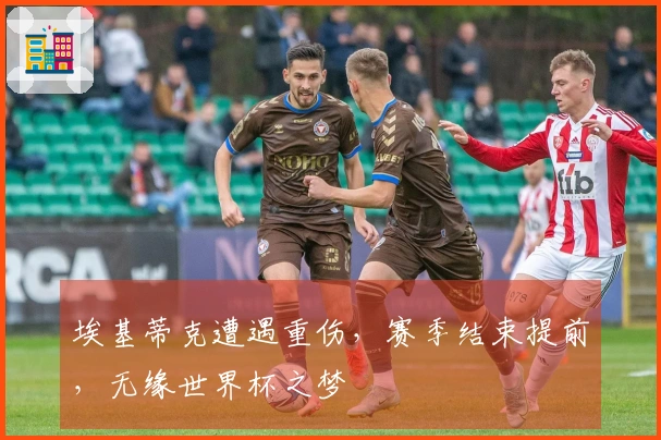 埃基蒂克遭遇重伤，赛季结束提前，无缘世界杯之梦