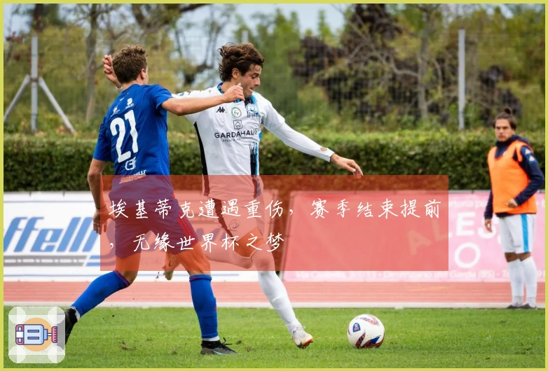 埃基蒂克遭遇重伤，赛季结束提前，无缘世界杯之梦