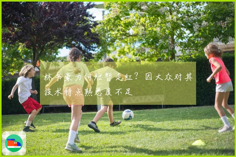 林书豪为何短暂走红？因大众对其技术特点熟悉度不足